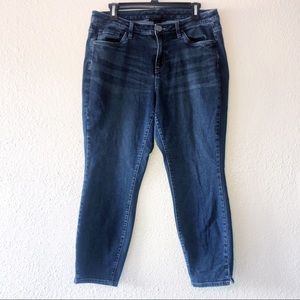 Lane Bryant Skinny Jeans